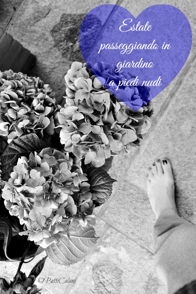 20160805_ortensie_blu (10)