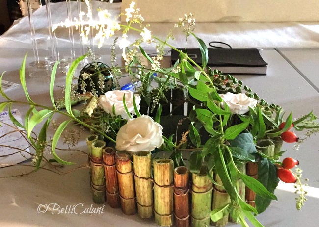 20160923_polygonum_cuspidatum-6