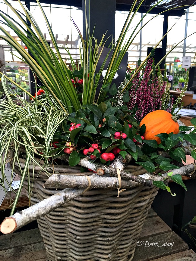 20161019_cesto_per_lesterno-3