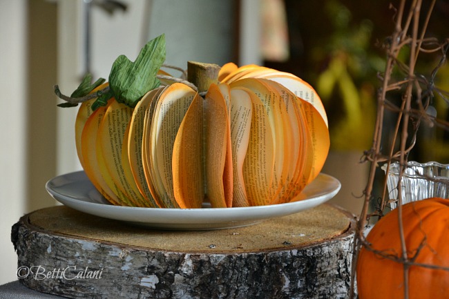 20161020_zucca_di_carta-5