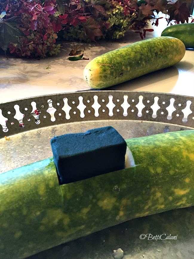 20161021_cetriolo_fiorito-5