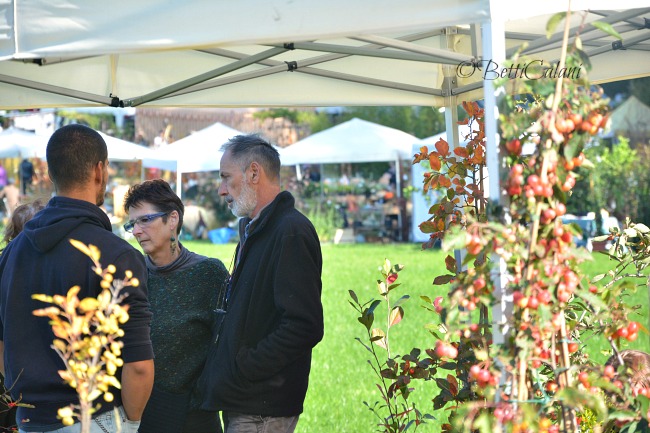 20161021_Feletig_masino-ottobre-21