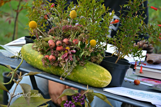 20161021_cetriolo_fiorito_masino-ottobre-86