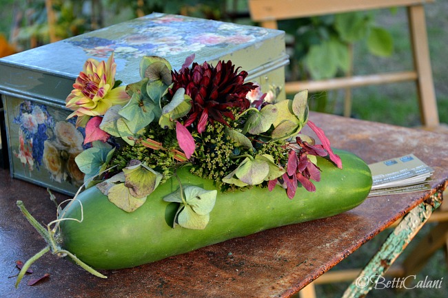 20161021_cetriolo_fiorito_masino-ottobre-90