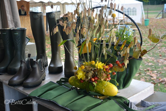 20161021_cetriolo_fiorito_masino-ottobre-