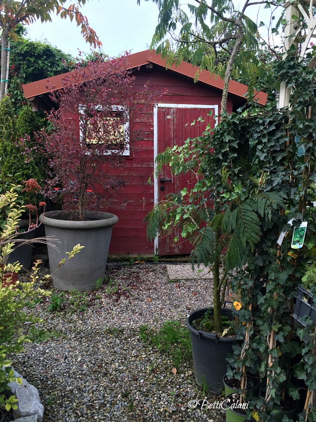 20161102_casetta_portofino-1