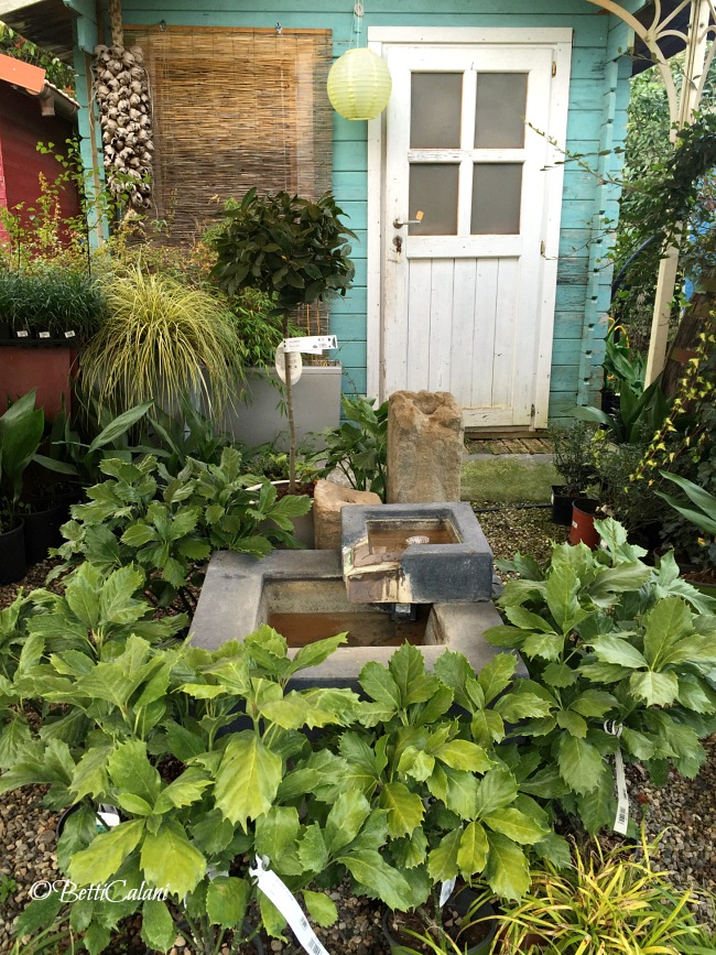 20161102_casetta_portofino-2