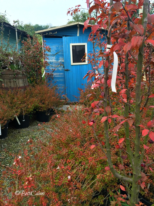 20161102_casetta_portofino-4