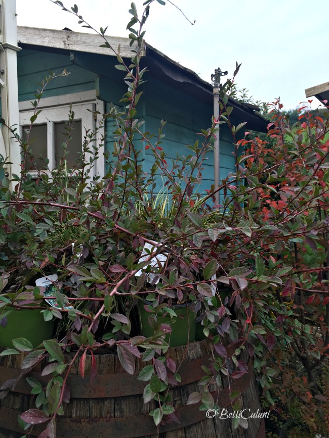 20161102_casetta_portofino-5