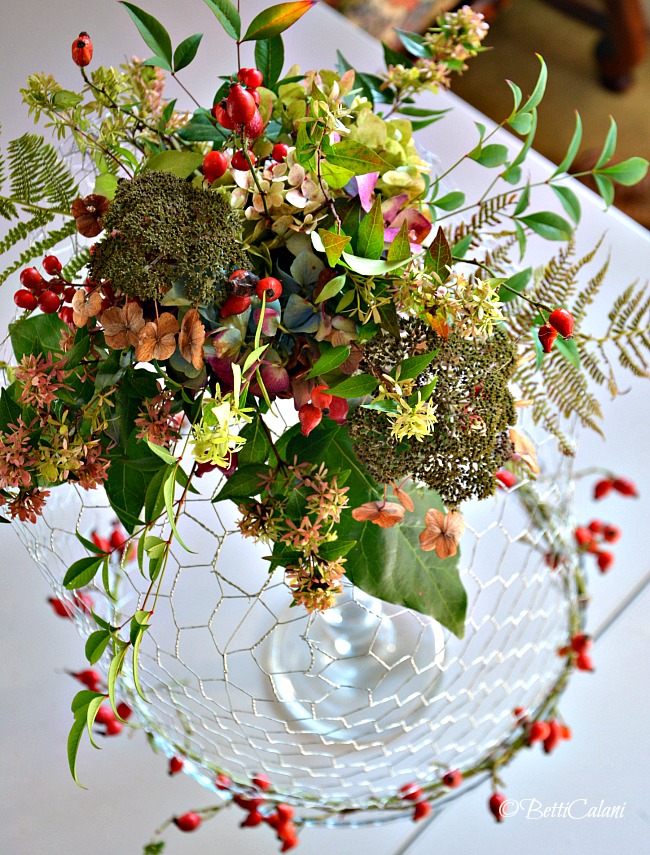 20161111_copritorta_con_la_rete_dei_polli-39