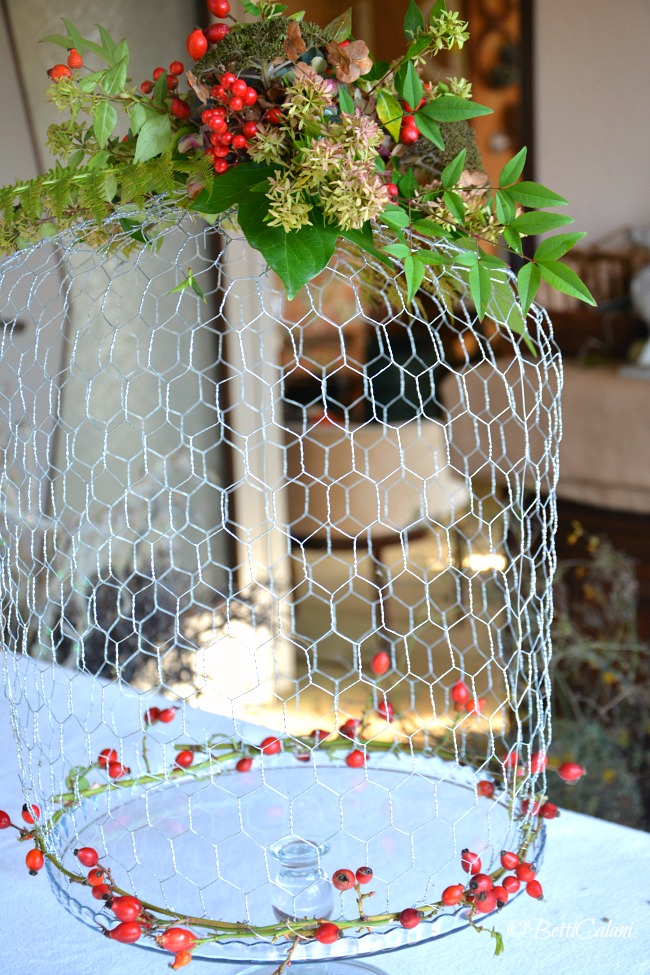 20161111_copritorta_con_la_rete_dei_polli-42