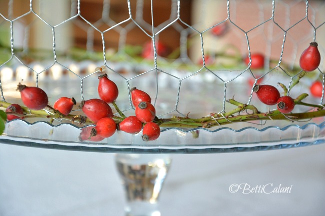 20161111_copritorta_con_la_rete_dei_polli-45