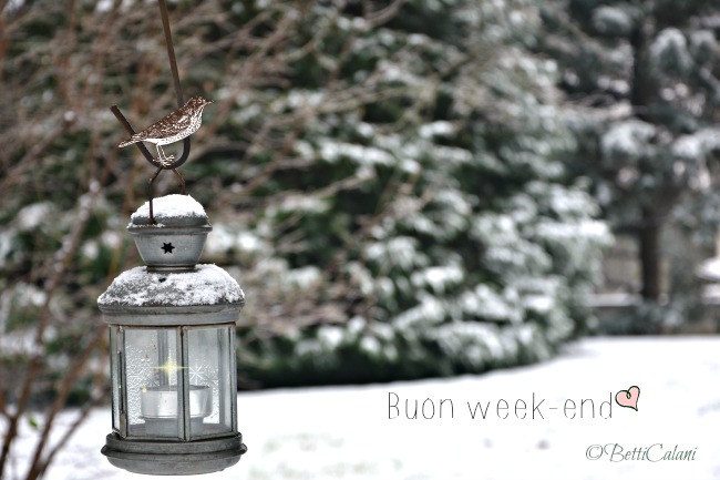 20170113_giardino_di_carnago-10_