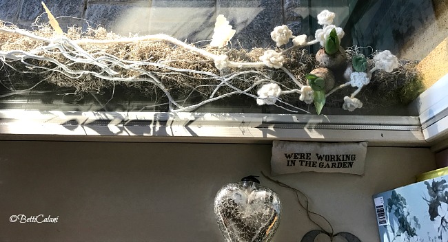 20170116_cilindro_di_tillandsia-11