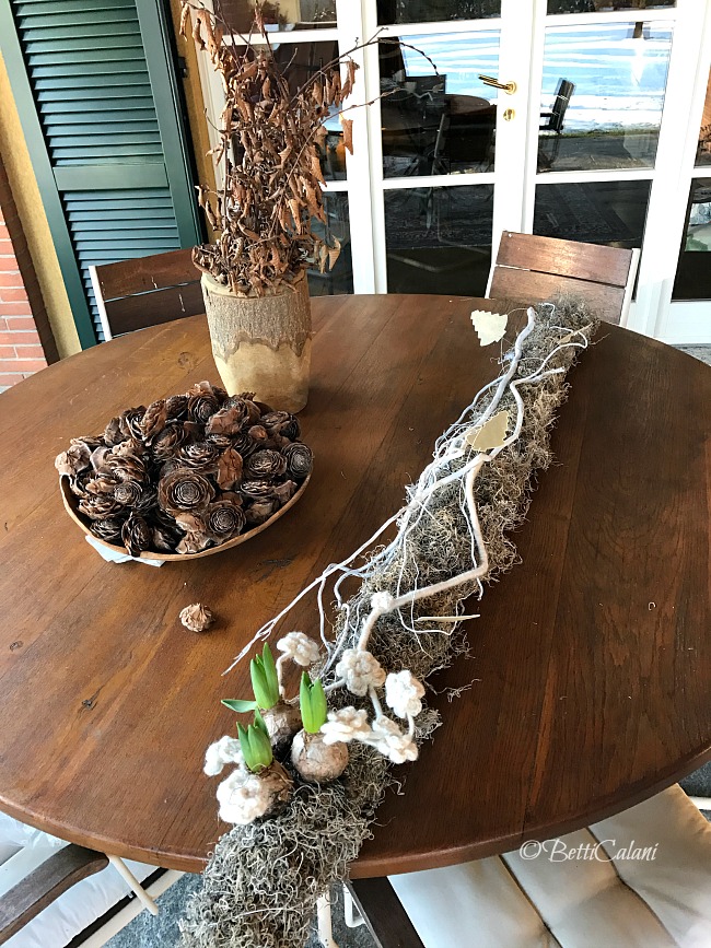 20170116_cilindro_di_tillandsia-15