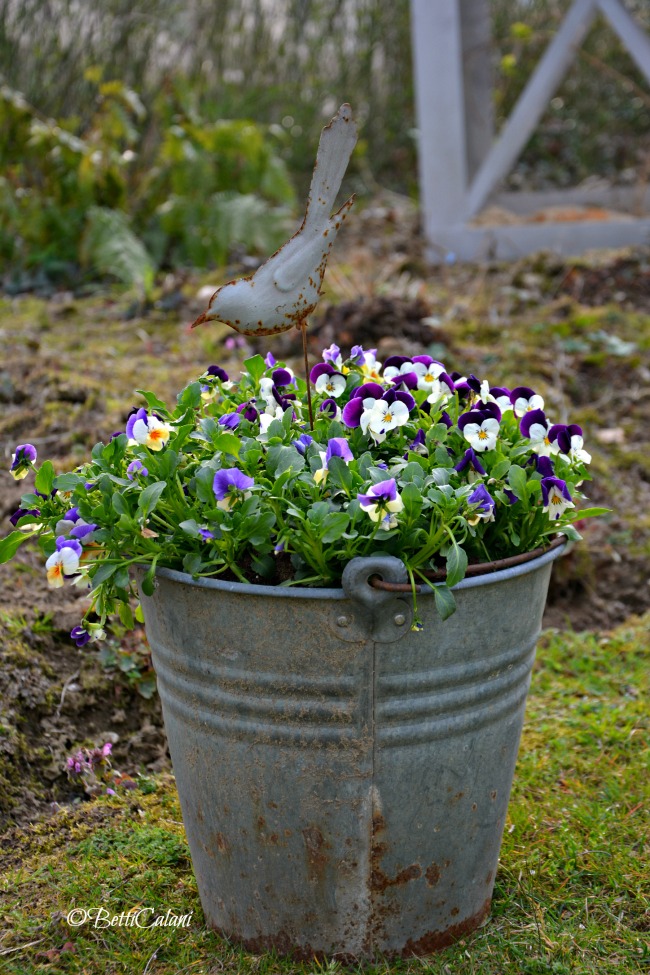 20150329_vaso_con_violette